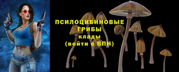 сатива Алзамай