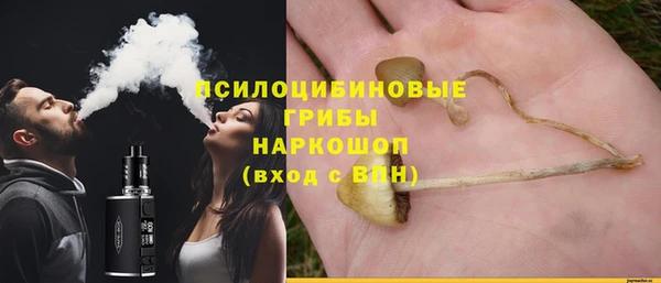 сатива Алзамай