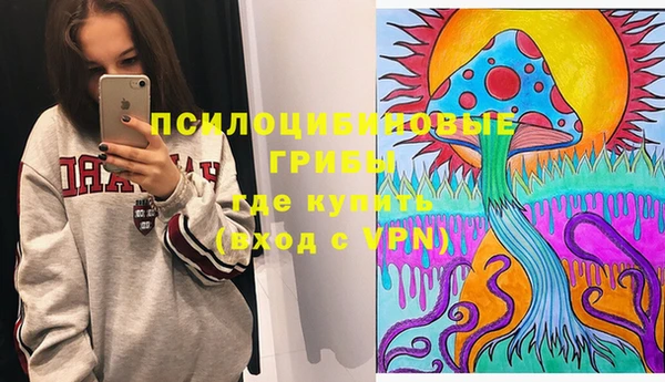 сатива Алзамай