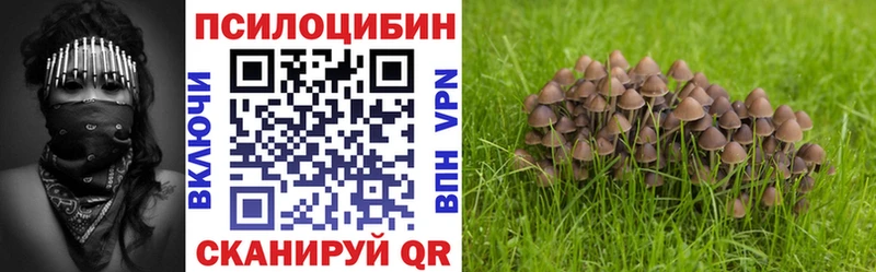 Псилоцибиновые грибы Psilocybine cubensis  как найти   Лобня 